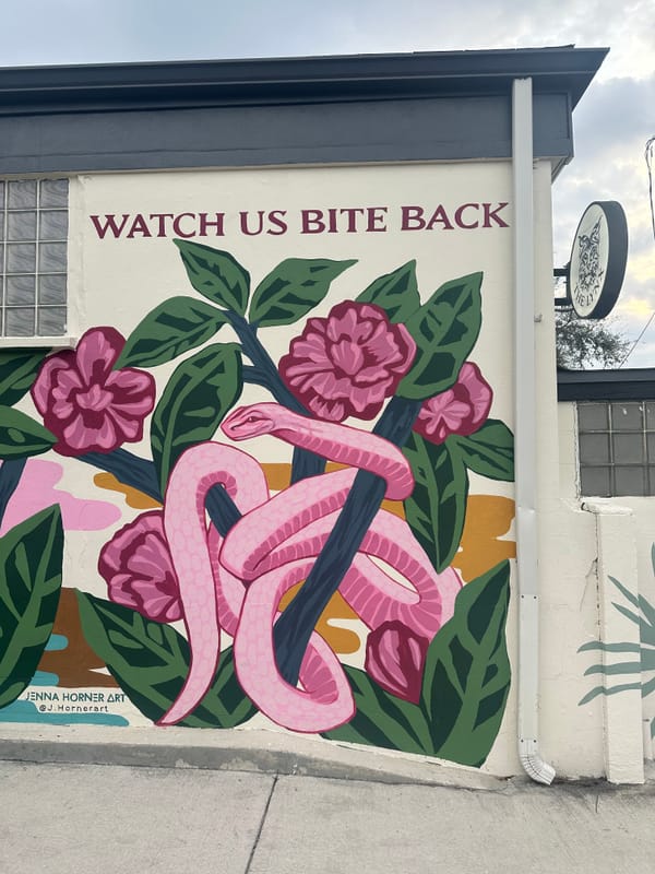 Freedom: your birthright